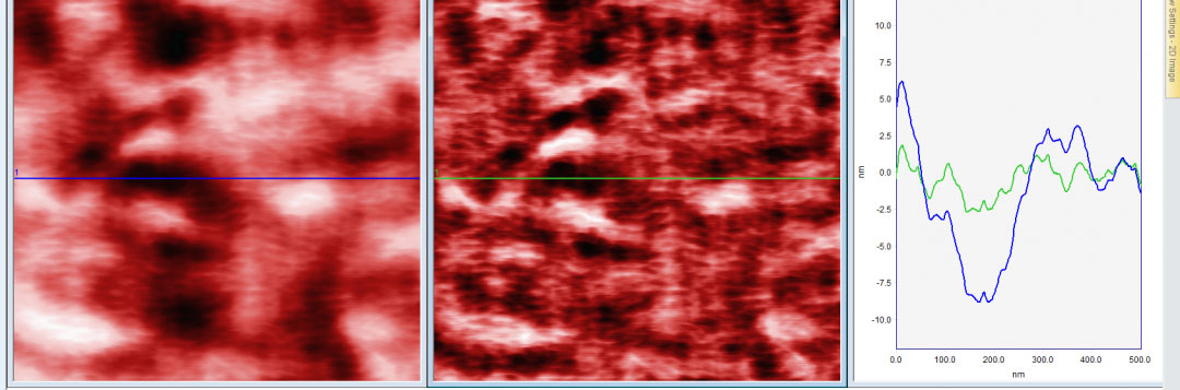 How to process information from Scanning Probe Microscopy