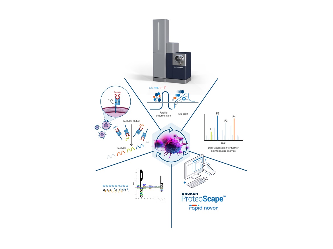Bruker Advances CCS-Enabled 4D-Proteomics timsTOF Solutions for Immunopeptidomes and Glycoproteomics at US HUPO