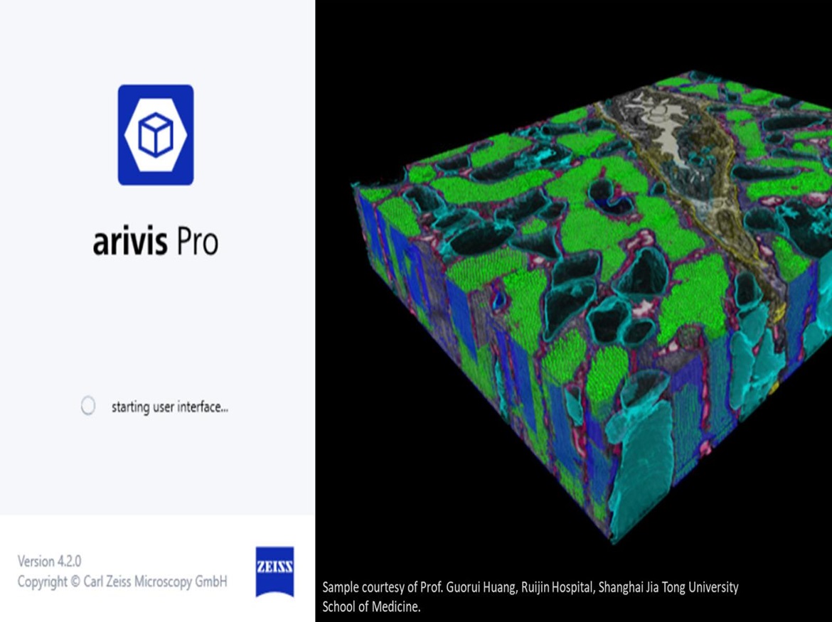 ZEISS arivis Software Enhances Custom Microscopy Image Analysis